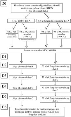 Are fungicides a driver of European foulbrood disease in honey bee colonies pollinating blueberries?